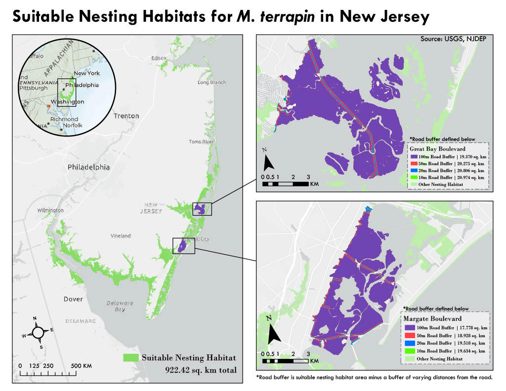Suitable nesting habitats for terrapins in NJ