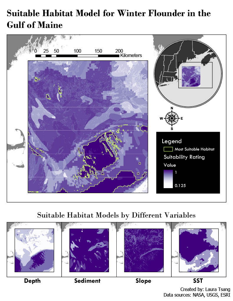 Suitable habitat models for winter flounder in the Gulf of Maine